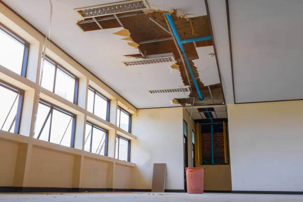 Best Fire Damage Restoration  in Pittsfield, IL