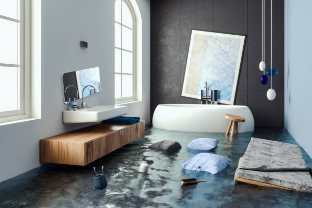 Best Commercial water damage restoration  in Pittsfield, IL
