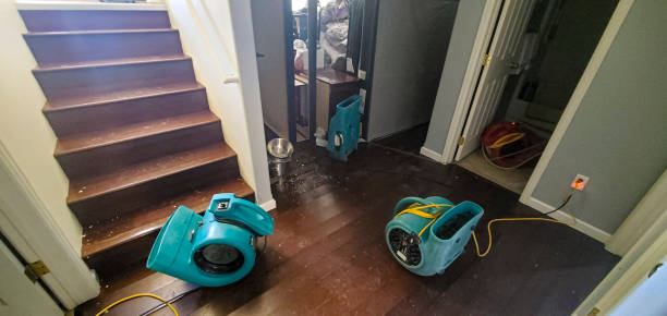  Pittsfield, IL Water damage restoration Pros