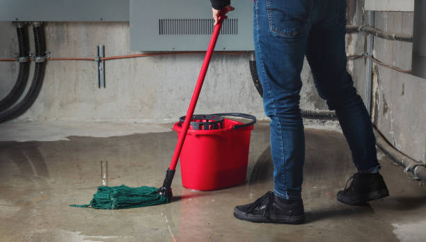 Best Water damage restoration mold remediation  in Pittsfield, IL