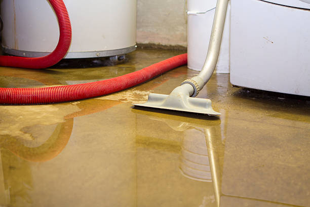 Best Water damage restoration insurance claims  in Pittsfield, IL