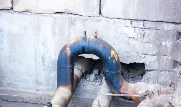 Best Local water damage restoration  in Pittsfield, IL