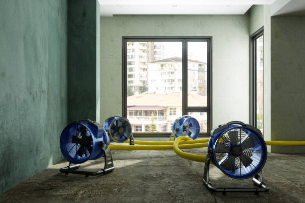 Best Water damage restoration experts  in Pittsfield, IL