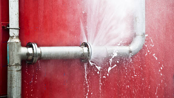 Best Local water damage restoration  in Pittsfield, IL