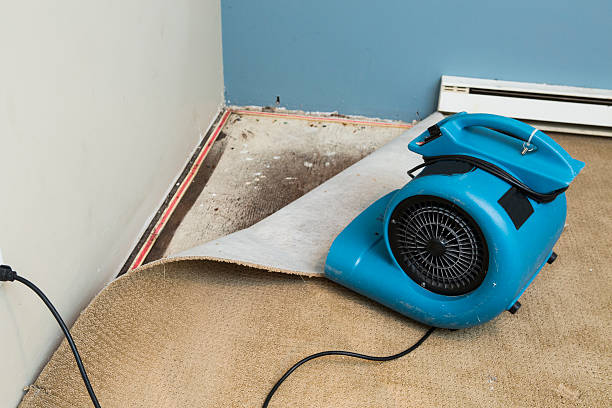 Best Water damage contractors near me  in Pittsfield, IL